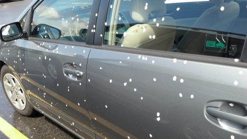 IMG_20130412_141309_792