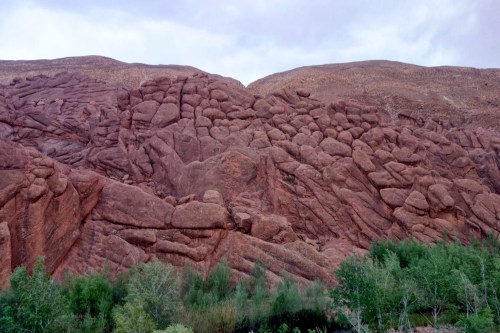 the monkey's fingers or paws or claws