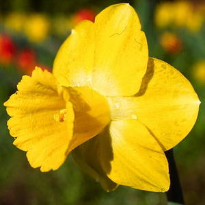 01-0112-M-1141768951