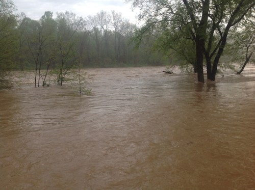 rappahannock in flood