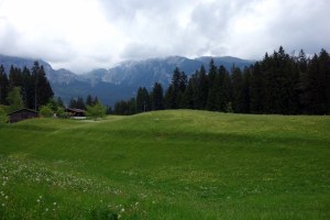 meadow, first, mountains