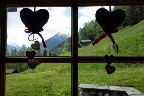 view from the kitchen window