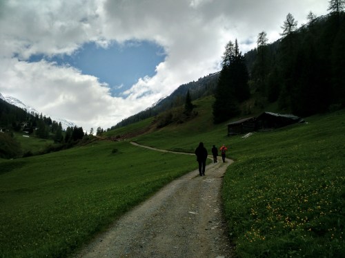 IMG_20150527_124410(1)