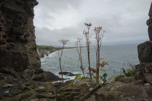 Irish coastal path2