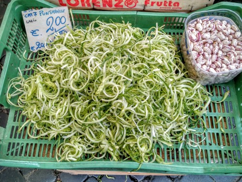 puntarelle