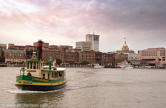 Savannah River Waterfront