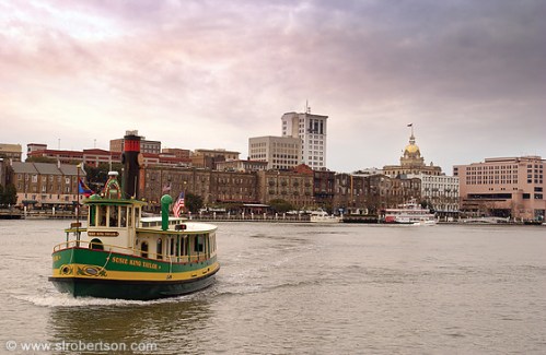 Savannah River Waterfront