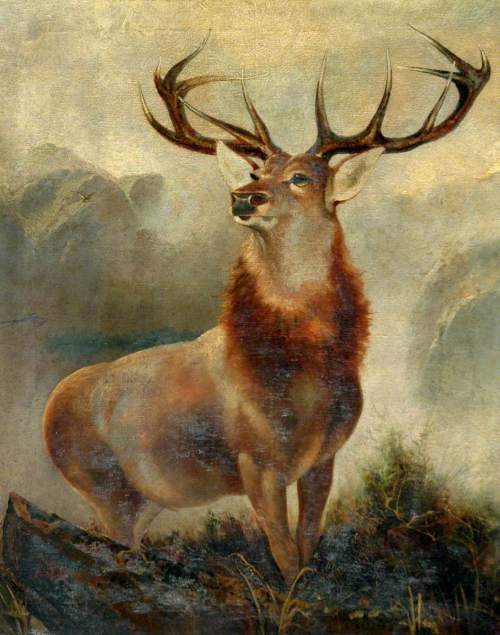 Ford, James, active 19th C; Stag at Bay (Monarch of the Glen)