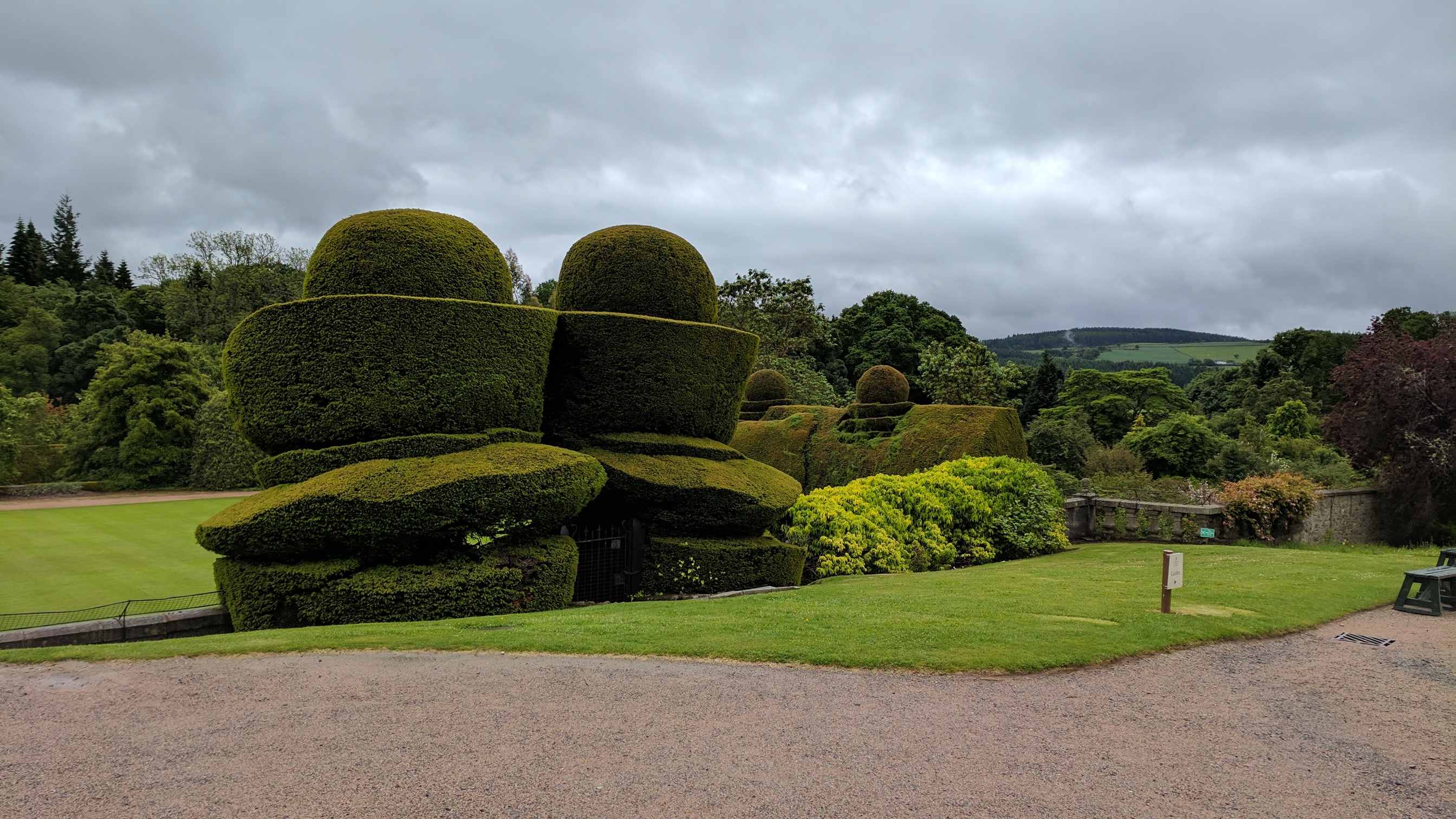 topiary