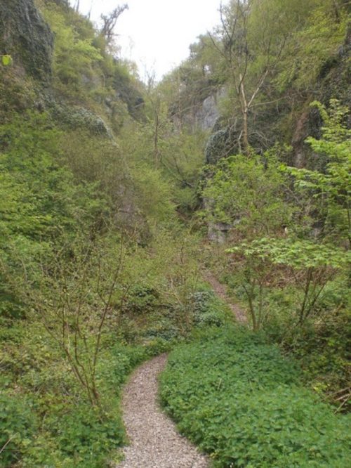 ebbor gorge